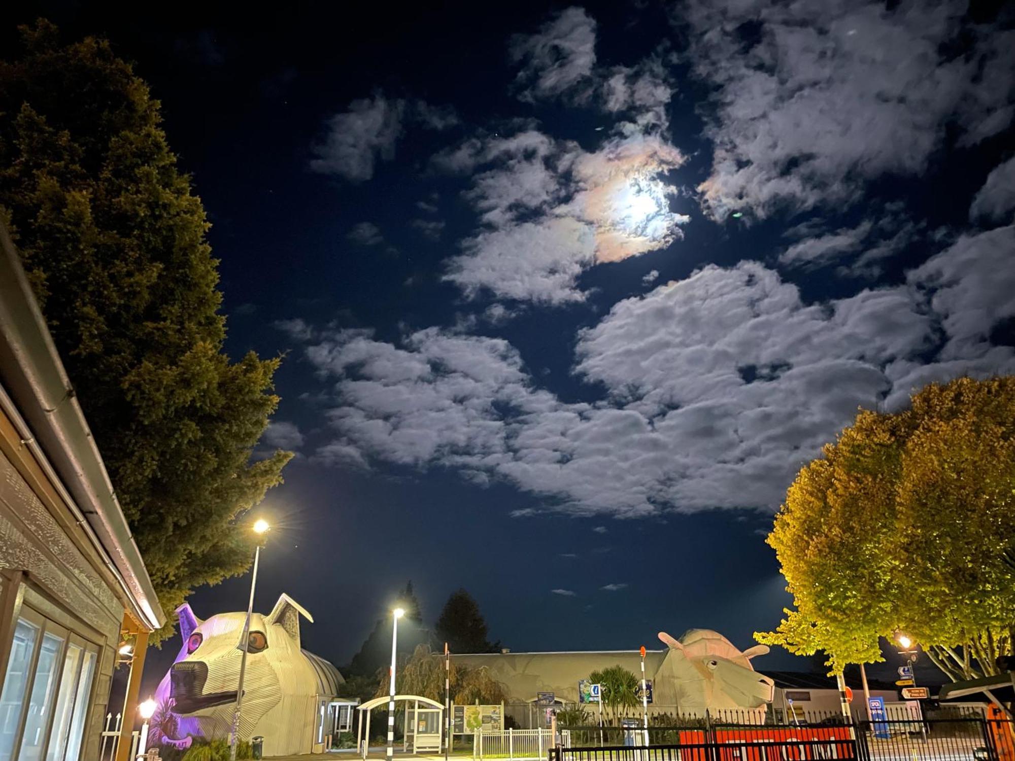 Tirau Motor Inn Dış mekan fotoğraf